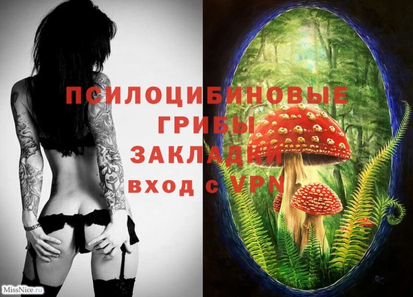МДМА Пролетарск