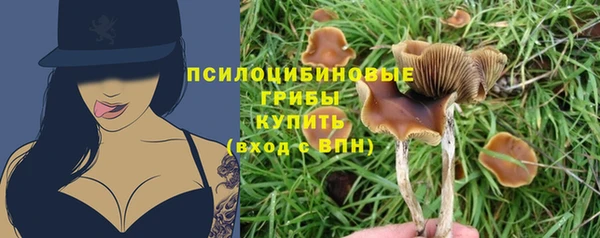 МДМА Пролетарск