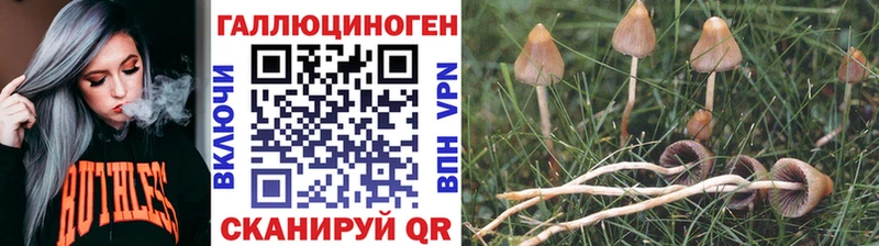Псилоцибиновые грибы мухоморы Бородино